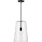 Progress Lighting Clarion Collection Black One-Light Medium Pendant P500242-031 - alternate 2